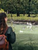 Marais aux Oiseaux © Mathieu Lassalle - French Wanderers (2).jpg