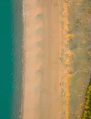 @arthurhabudzik- Marennes Oléron plage.jpg