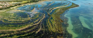 Vissluis - Isla Oléron