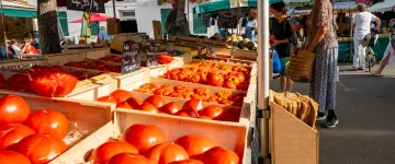 Mercado de Saint Denis d'Oléron