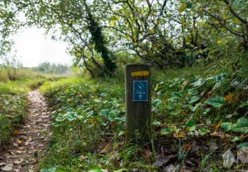 De Oléron Trail