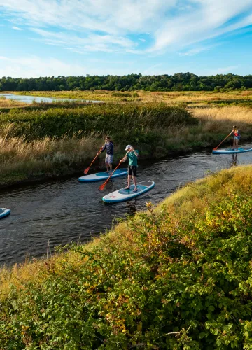 Stand Up Paddle Marennes-Oléron