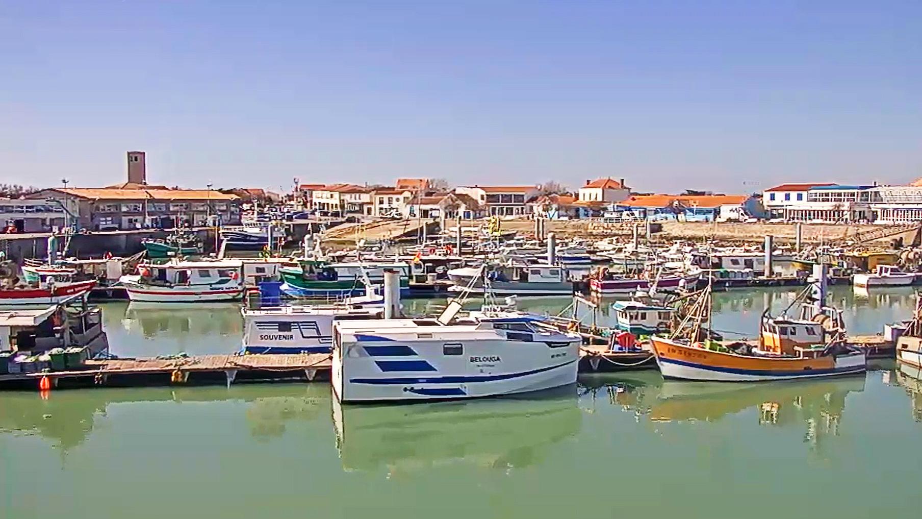 Restaurant Ile D Oleron La Cotinière Port de la Cotinière - En direct | Marennes Oléron Tourisme