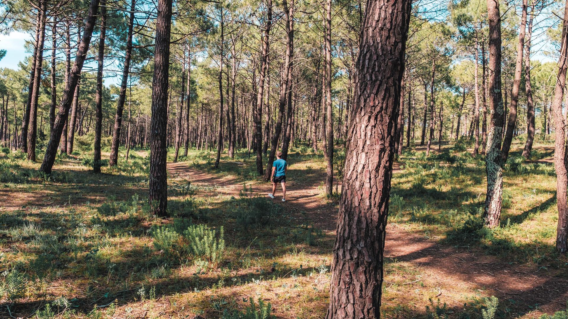 Côté forêt | Marennes Oléron Tourisme