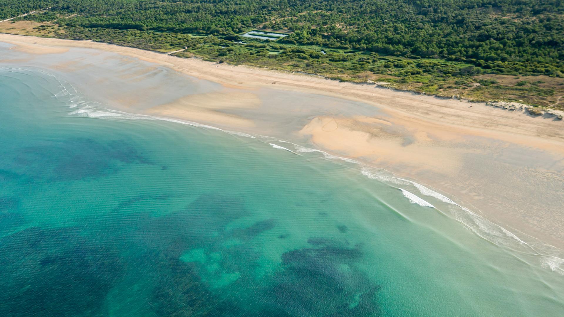Heure Des Marées Ile D Oleron Horaires des marées et méteo des plages | Marennes Oléron Tourisme