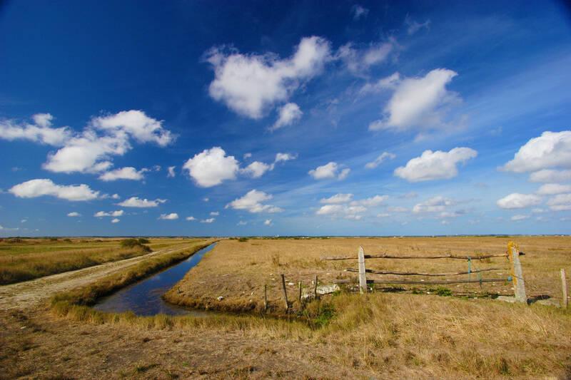 Marais De La Seudre Balades Et Randonn es marais-de-la-seudre-balades-et-randonn-es