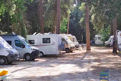 Aire pour camping-cars « Bois de pins »