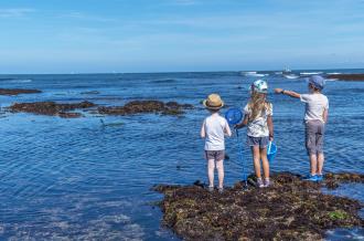 Pêche à pied en famille sur l'île d'Oléron