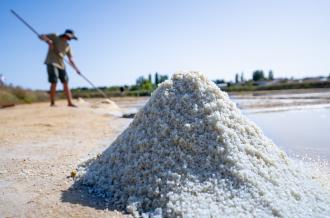 Lokale producten île d'Oléron Marennes