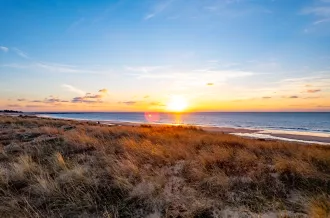 Wetter, Ile d'Oléron en Marennes Becken