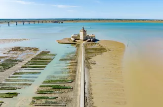 Fort Louvois - Webcam