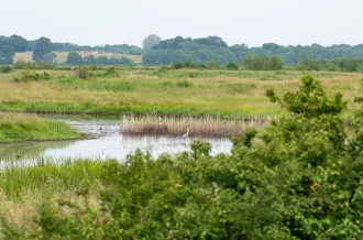 De moerassen van Marennes-Oléron