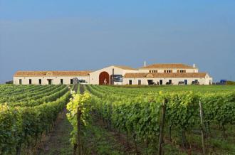 Vignoble Maxime PINARD