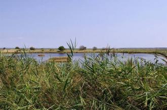 Marais des Bris