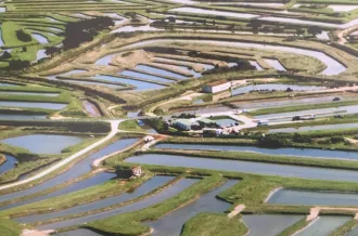 Etablissement Dominique Tétaud bar à huîtres