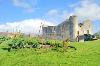 Château fort de la Fée Mélusine