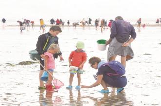 Pêche à pied