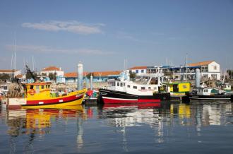 Port de la Cotinière