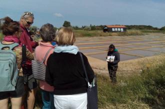 Fête de la nature au Port des Salines