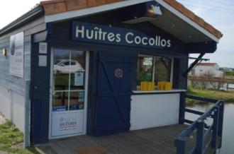 Huîtres Cocollos_Bourcefranc-le-Chapus