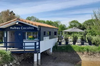 Huîtres Cocollos_Bourcefranc-le-Chapus