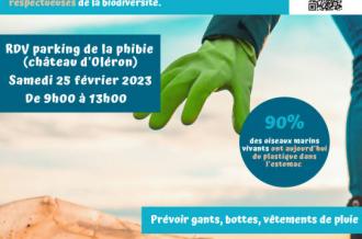 Collecte de déchets sur la plage