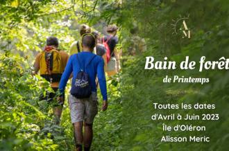 Bain de forêt