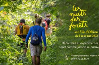 Bain de forêt