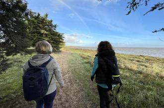 Chemin d'Oléron - Le Château d'Oléron à Boyardville