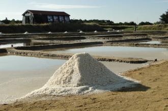 Les matinées créatives au Port des Salines