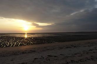 Reserve-Moeze-Oleron-LPO-Balade-crepusculaire-Saint-Froult