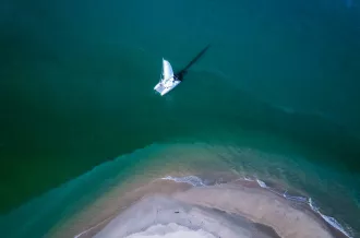 Canopée Voile - Balades en catamaran