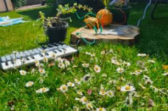 Concert "Forêts" Cie Nelson