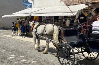 Calèche