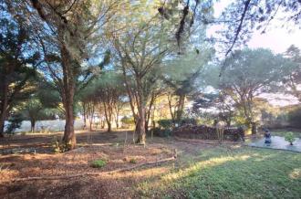 Visites des jardins de l'âme Cham_Saint-Denis-d'Oléron