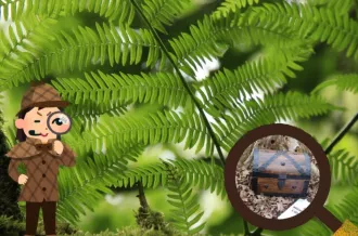 Enquête au Marais_Dolus-d'Oléron