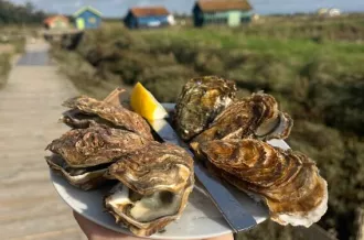 Dégustation découverte avec panaché de 6 huîtres de nos producteurs_Saint-Pierre-d'Oléron