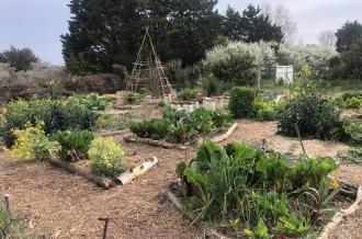 jardin