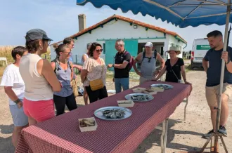 Balade gourmande à Brouage_Marennes-Hiers-Brouage