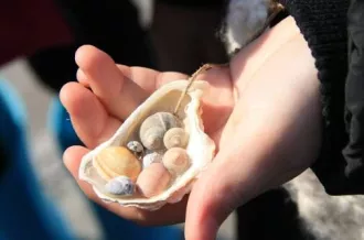Atelier enfant : pâte à sel & coquillages