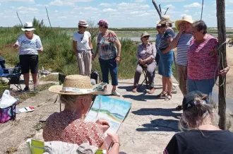 Stage d'aquarelle "Oyat des dunes & libellule"_Saint-Pierre-d'Oléron