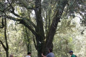 Balades sensorielles en famille_Le Grand-Village-Plage