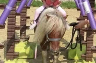Parcours Poneys_Saint-Georges-d'Oléron