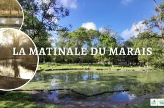 La Matinale du Marais_Dolus-d'Oléron