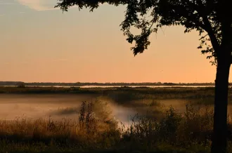 Randonnée nature dans le marais de Brouage