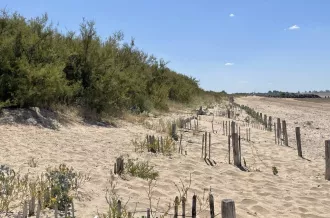 Découverte du système plage-dune