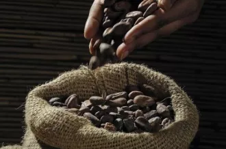 Exposition - Passion chocolat_Saint-Trojan-les-Bains