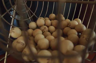 Loto de La Gaule Marennaise_Marennes-Hiers-Brouage