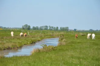 Ferme ouverte à St-Sornin_Saint-Sornin