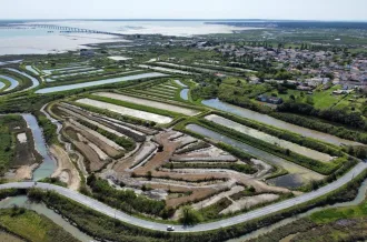 Sel océan Ile d'Oléron_Le Château-d'Oléron